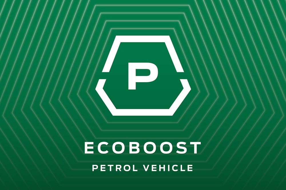 Grafic EcoBoost benzină